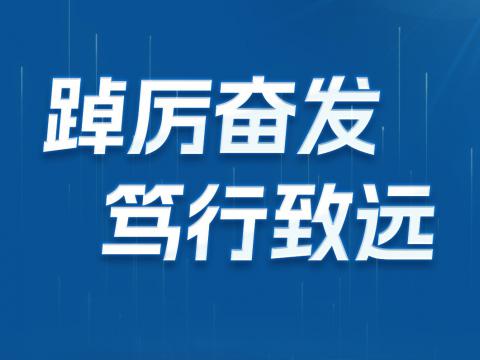 一图读懂凯时尊龙人生就是博首页电气2024年半年报